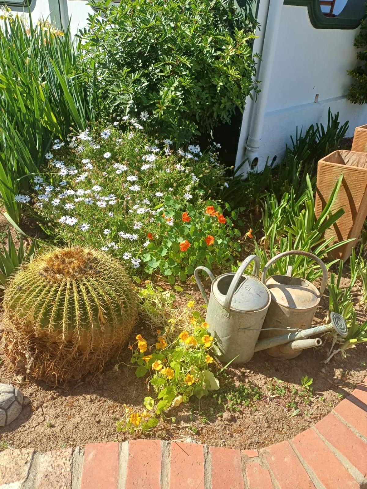 Bed and Breakfast De Oude Yotclub Oudtshoorn Exterior foto
